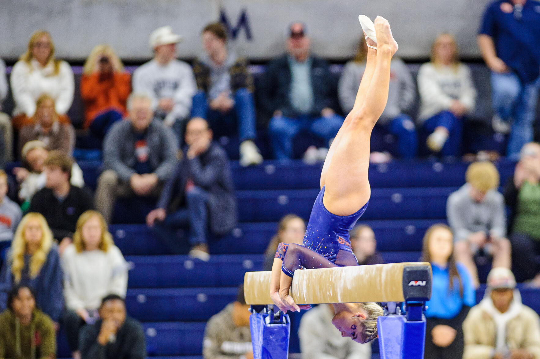 Auburn Gymnastics preview meet